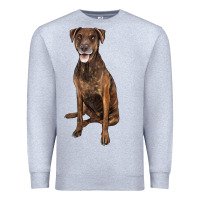 Heather Grey plott hound Premium Sweatshirt - LillyAllenDesigns