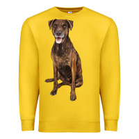 Lemon plott hound Premium Sweatshirt - LillyAllenDesigns