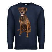 Navy plott hound Premium Sweatshirt - LillyAllenDesigns