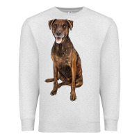 Oatmeal Heather plott hound Premium Sweatshirt - LillyAllenDesigns
