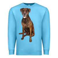 Ocean Blue plott hound Premium Sweatshirt - LillyAllenDesigns