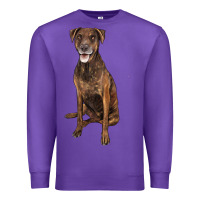 Purple plott hound Premium Sweatshirt - LillyAllenDesigns