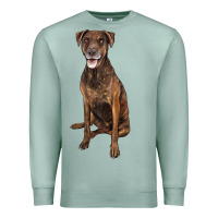Seafoam plott hound Premium Sweatshirt - LillyAllenDesigns