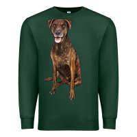 Sports Green plott hound Premium Sweatshirt - LillyAllenDesigns
