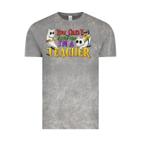 Cloud Rock You Can't Scare Me I'm a Teacher Vintage Tee - texasbilliewilder