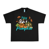 Black Hey Pumpkin Urban Heavy Tee - texasbilliewilder