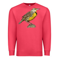 Cardinal Western Meadowlark Premium Sweatshirt - LillyAllenDesigns