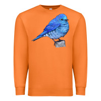 Carrot Mountain Bluebird Premium Sweatshirt - LillyAllenDesigns
