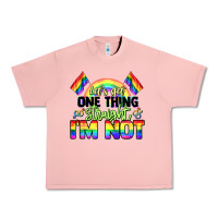 Salmon Let's get one thing straight i'm not Pride LGBTQ+ Urban Heavy Tee - NancyCooperArtShop