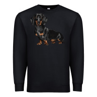 Black Dachshund Dog Illustrations Premium Sweatshirt - LillyAllenDesigns