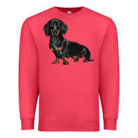 Cardinal Dachshund Dog Illustrations Premium Sweatshirt - LillyAllenDesigns