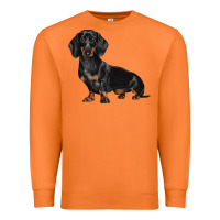 Carrot Dachshund Dog Illustrations Premium Sweatshirt - LillyAllenDesigns