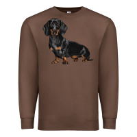 Chestnut Dachshund Dog Illustrations Premium Sweatshirt - LillyAllenDesigns