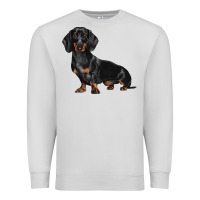 Dove Grey Dachshund Dog Illustrations Premium Sweatshirt - LillyAllenDesigns
