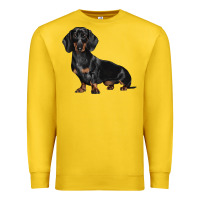 Lemon Dachshund Dog Illustrations Premium Sweatshirt - LillyAllenDesigns