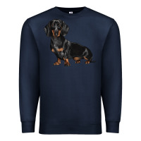 Navy Dachshund Dog Illustrations Premium Sweatshirt - LillyAllenDesigns