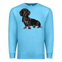 Ocean Blue Dachshund Dog Illustrations Premium Sweatshirt - LillyAllenDesigns