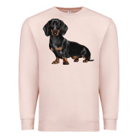 Pale Pink Dachshund Dog Illustrations Premium Sweatshirt - LillyAllenDesigns