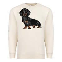 Sandshell Dachshund Dog Illustrations Premium Sweatshirt - LillyAllenDesigns