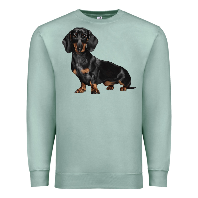 Dachshund Dog Illustrations Premium Sweatshirt by LillyAllenDesigns | Teevron