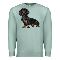Seafoam Dachshund Dog Illustrations Premium Sweatshirt - LillyAllenDesigns