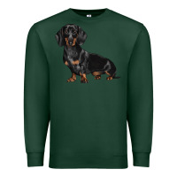 Sports Green Dachshund Dog Illustrations Premium Sweatshirt - LillyAllenDesigns