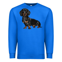 True Royal Dachshund Dog Illustrations Premium Sweatshirt - LillyAllenDesigns