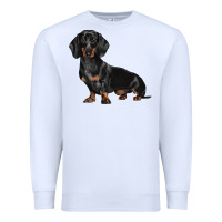 White Dachshund Dog Illustrations Premium Sweatshirt - LillyAllenDesigns