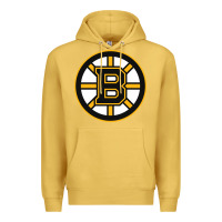 Antique Gold the bruins Premium Hoodie - tuanDangUi