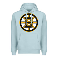 Blue Mist the bruins Premium Hoodie - tuanDangUi