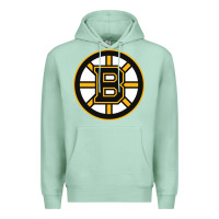 Seafoam the bruins Premium Hoodie - tuanDangUi