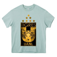 Arona tigres Heavy Core Tee - tuanDangUi
