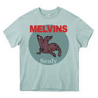 Arona melvins houdini sealy colour Heavy Core Tee - tuanDangUi