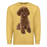 Antique Gold Poodles Dog lllustrations Premium Sweatshirt - LillyAllenDesigns