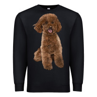 Black Poodles Dog lllustrations Premium Sweatshirt - LillyAllenDesigns
