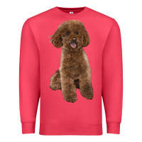 Cardinal Poodles Dog lllustrations Premium Sweatshirt - LillyAllenDesigns