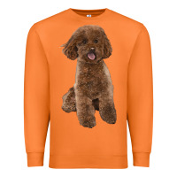 Carrot Poodles Dog lllustrations Premium Sweatshirt - LillyAllenDesigns