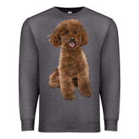 Charcoal Heather Poodles Dog lllustrations Premium Sweatshirt - LillyAllenDesigns