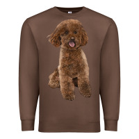 Chestnut Poodles Dog lllustrations Premium Sweatshirt - LillyAllenDesigns