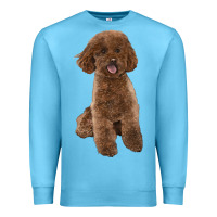 Ocean Blue Poodles Dog lllustrations Premium Sweatshirt - LillyAllenDesigns