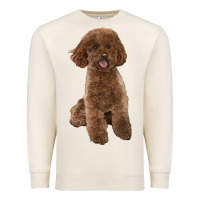 Sandshell Poodles Dog lllustrations Premium Sweatshirt - LillyAllenDesigns