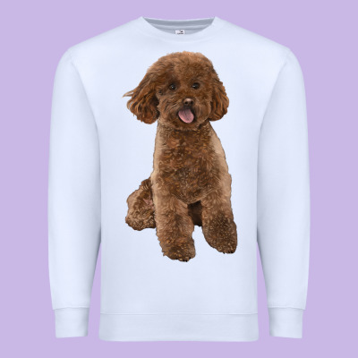Poodles Dog Lllustrations Premium Sweatshirt Designed By Lillyallendesigns