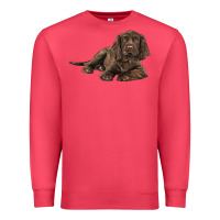 Cardinal Sussex Spaniels llustrations Premium Sweatshirt - LillyAllenDesigns