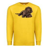 Lemon Sussex Spaniels llustrations Premium Sweatshirt - LillyAllenDesigns