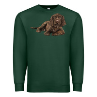 Sports Green Sussex Spaniels llustrations Premium Sweatshirt - LillyAllenDesigns