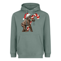 Sage Christmas Candy Cane Baby Gorilla Heavyweight Hoodie - LillyAllenDesigns
