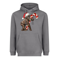 Storm Christmas Candy Cane Baby Gorilla Heavyweight Hoodie - LillyAllenDesigns