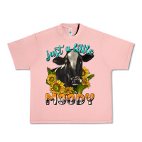 Salmon Just a Little Moody Urban Heavy Tee - texasbilliewilder
