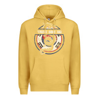 Antique Gold Tang Soo Do Hoodie Martial Arts Gift Dragon Korean Premium Hoodie - tuanDangUi