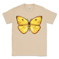 Cloudless Sulphur Butterfly Classic Tee | Teevron